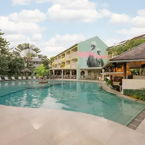 book here