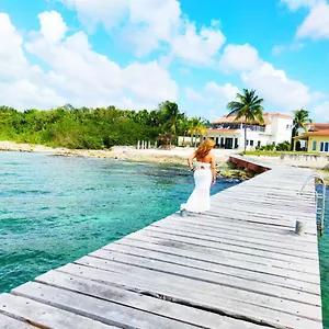 https://cozumel-beach-house-villa-debra.quintano-roohotels.com